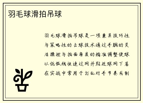 羽毛球滑拍吊球